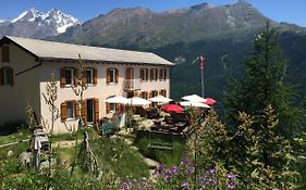 Edelweiss Zermatt
