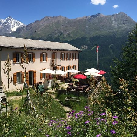 Edelweiss Mountain Guest House - 1 Hour Hike Up From Zermatt Station - On Hiking Trail - No Transport Exterior photo