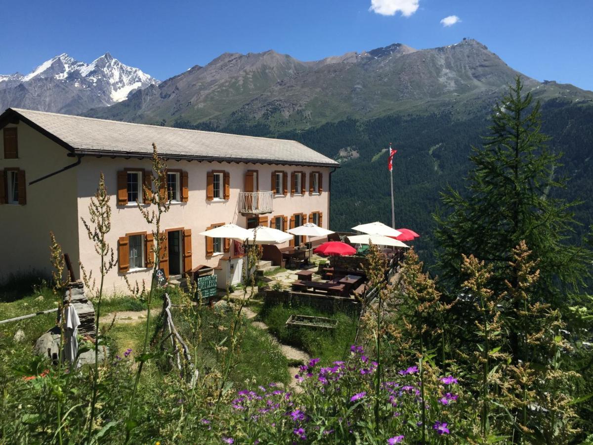 Edelweiss Mountain Guest House - 1 Hour Hike Up From Zermatt Station - On Hiking Trail - No Transport Exterior photo